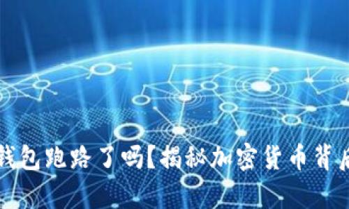 比特币钱包跑路了吗？揭秘加密货币背后的真相