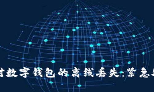 如何应对数字钱包的离线丢失：紧急处理指南