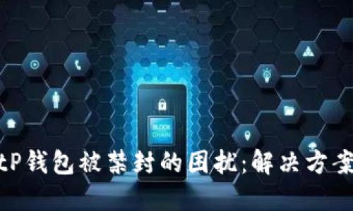 如何应对BitP钱包被禁封的困扰：解决方案与预防措施