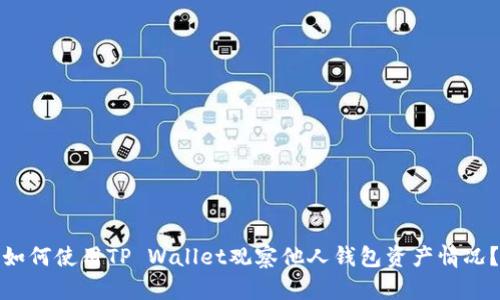 如何使用TP Wallet观察他人钱包资产情况?