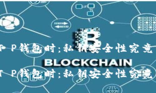 在选择T P钱包时：私钥安全性究竟靠谱吗？

在选择T P钱包时：私钥安全性究竟靠谱吗？