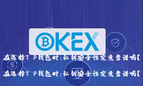 在选择T P钱包时：私钥安全性究竟靠谱吗？

在选择T P钱包时：私钥安全性究竟靠谱吗？