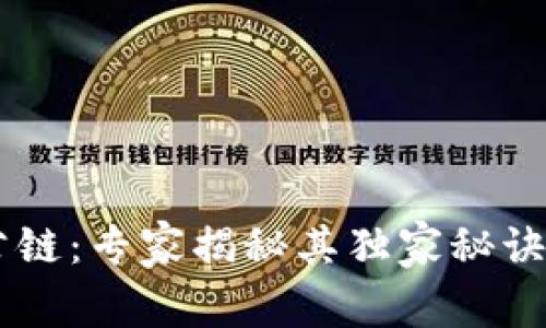 TPWallet公链：专家揭秘其独家秘诀与未来潜力