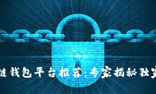区块链钱包平台推荐：专家揭秘独家秘诀