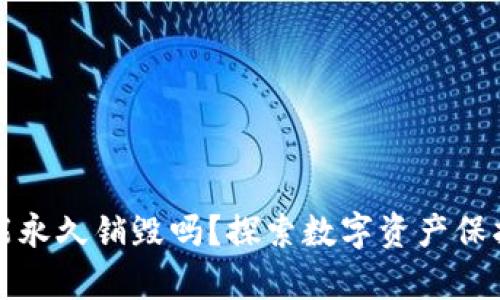 tP钱包能永久销毁吗？探索数字资产保护的真相