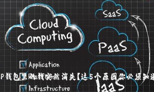 TP钱包里的钱突然消失？这5个原因你必须知道