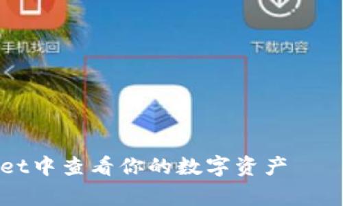 如何在TPWallet中查看你的数字资产——专家独家秘籍
