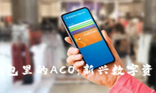 深入了解TP钱包里的ACO：新兴数字资产的全景解析