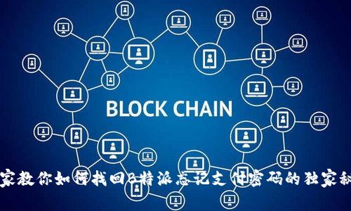 专家教你如何找回B特派忘记支付密码的独家秘诀