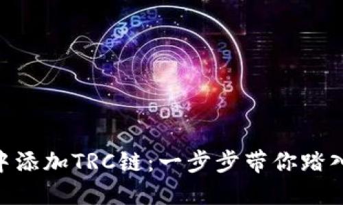 如何在MetaMask中添加TRC链：一步步带你踏入全新数字货币世界