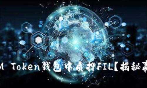 如何在IM Token钱包中质押FIL？揭秘赢利潜力！