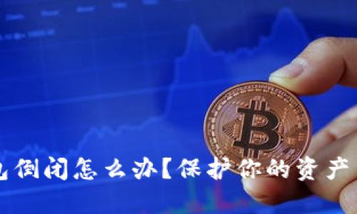 区块链钱包倒闭怎么办?保护你的资产与安全指南