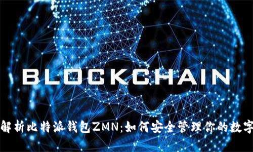 全面解析比特派钱包ZMN：如何安全管理你的数字资产