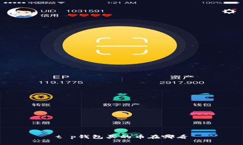 t p钱包买的币在哪看