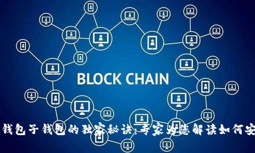 揭秘TP钱包子钱包的独家秘诀：专家为您解读如何安全使用