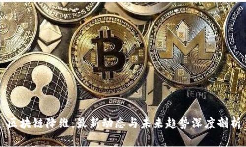 区块链降维：最新动态与未来趋势深度剖析
