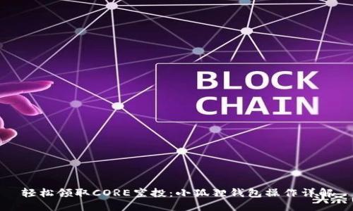 轻松领取CORE空投：小狐狸钱包操作详解