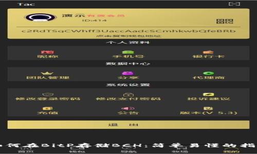 如何在BitP存储BCH：简单易懂的指南