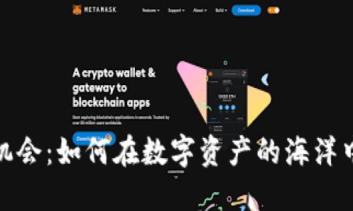 探秘虚拟币的乐趣与投资机会：如何在数字资产的海洋中找到属于你的那一份精彩