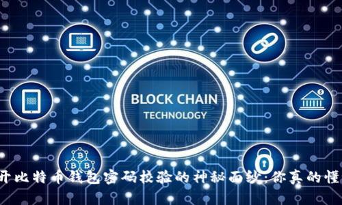 揭开比特币钱包密码校验的神秘面纱：你真的懂吗？