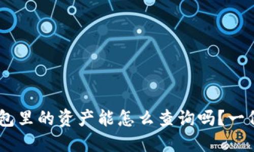 你知道token钱包里的资产能怎么查询吗？一份完整指南揭秘！