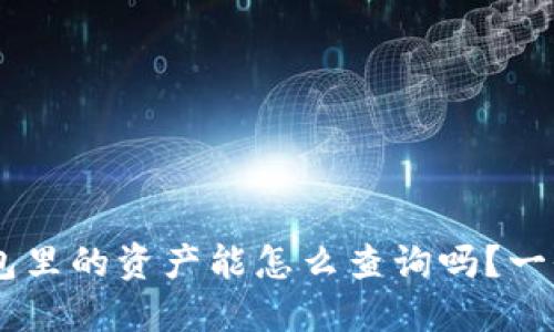 你知道token钱包里的资产能怎么查询吗？一份完整指南揭秘！