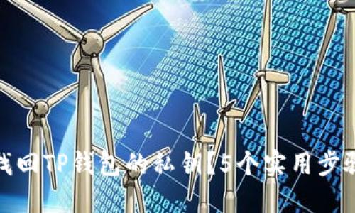 如何找回TP钱包的私钥？5个实用步骤揭秘