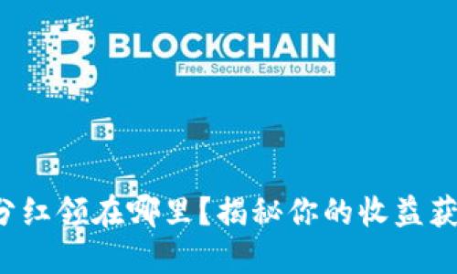 TP钱包分红领在哪里？揭秘你的收益获取途径！