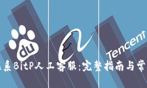 如何高效联系BitP人工客服：完整指南与常见问题解答