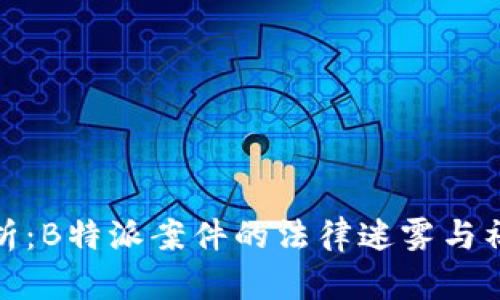 深入解析：B特派案件的法律迷雾与社会反响