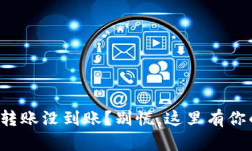 TP钱包转账没到账？别慌，这里有你的救星！