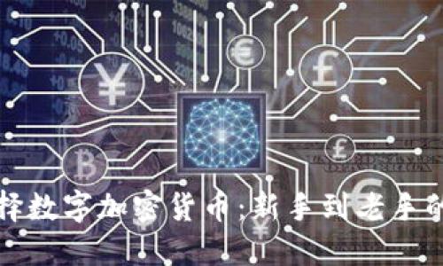 如何精准选择数字加密货币：新手到老手的全方位指南