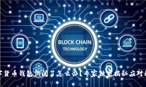 数字货币钱包倒闭了怎么办？专家独家揭秘应对秘诀