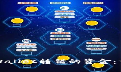 如何找回TPWallet转错的资金：详细步骤解析