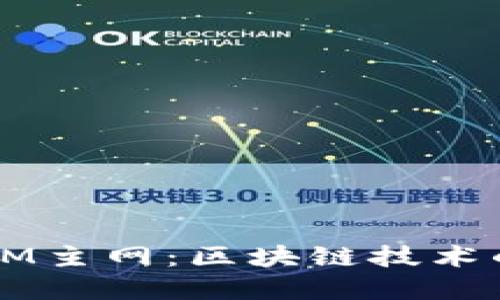 深入探讨Tokenim BTM主网：区块链技术的实用价值与未来潜力