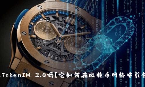 你听说过TokenIM 2.0吗？它如何在比特币网络中引领新潮流？
