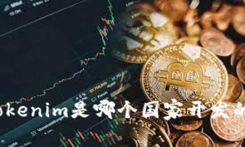 Tokenim是哪个国家开发的？