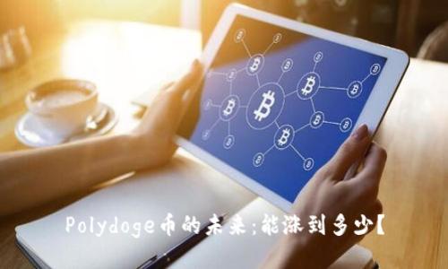 Polydoge币的未来：能涨到多少？