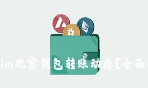 如何使用Tokenim观察钱包转账动态？全面解读与实用技巧
