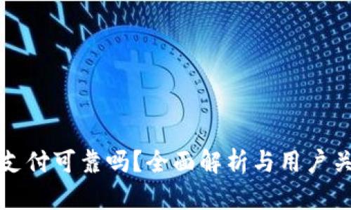 加密货币支付可靠吗？全面解析与用户关注的痛点