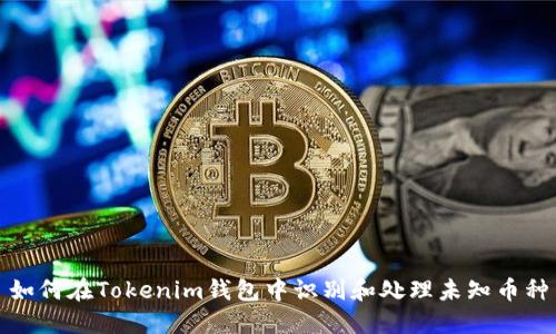 如何在Tokenim钱包中识别和处理未知币种