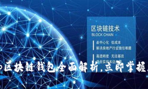 2025必看：Bitkeep区块链钱包全面解析，立即掌握您的数字资产安全！