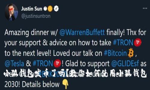 小狐钱包发币了吗？教你如何使用小狐钱包