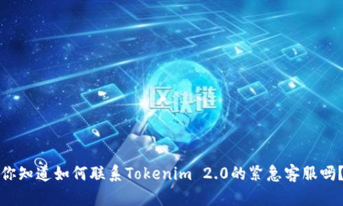 你知道如何联系Tokenim 2.0的紧急客服吗？