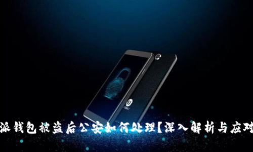 比特派钱包被盗后公安如何处理？深入解析与应对措施