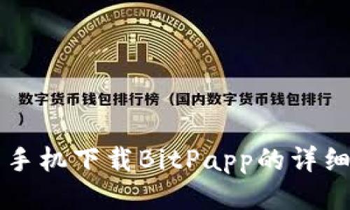 华为手机下载BitPapp的详细指南