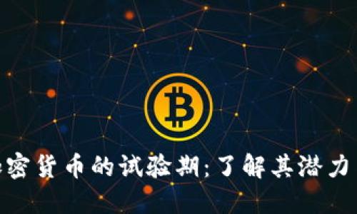 探索加密货币的试验期：了解其潜力与风险