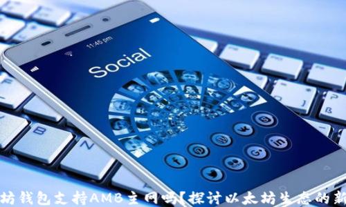 以太坊钱包支持AMB主网吗?探讨以太坊生态的新机遇
