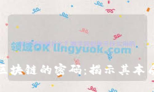 破解区块链的密码：揭示其本质之美