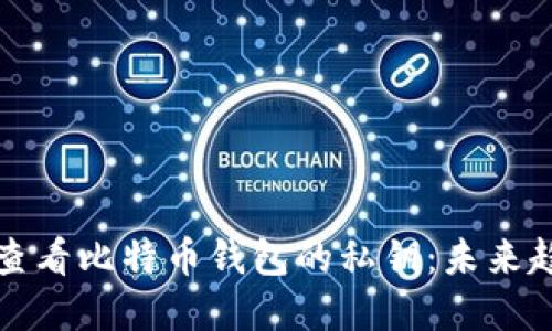 如何安全查看比特币钱包的私钥：未来趋势与发展